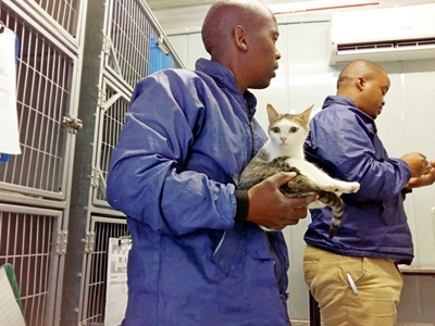 SAMAST – South African Mass Animal Sterilisation Trust